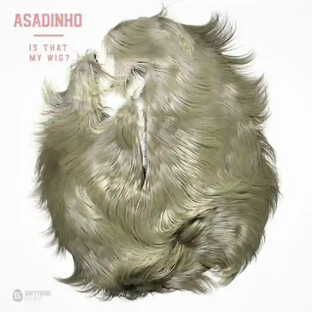 Is That My Wig (Original Mix) cover