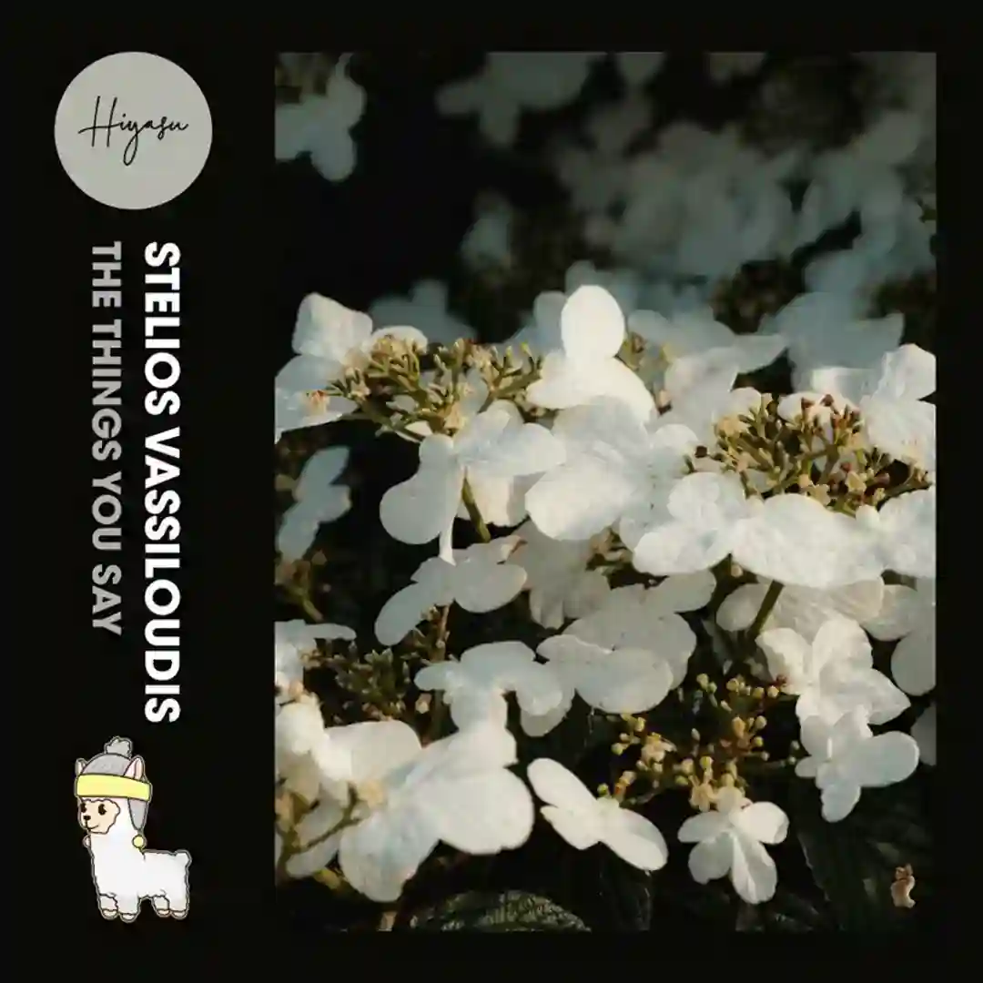 The Things You Say cover