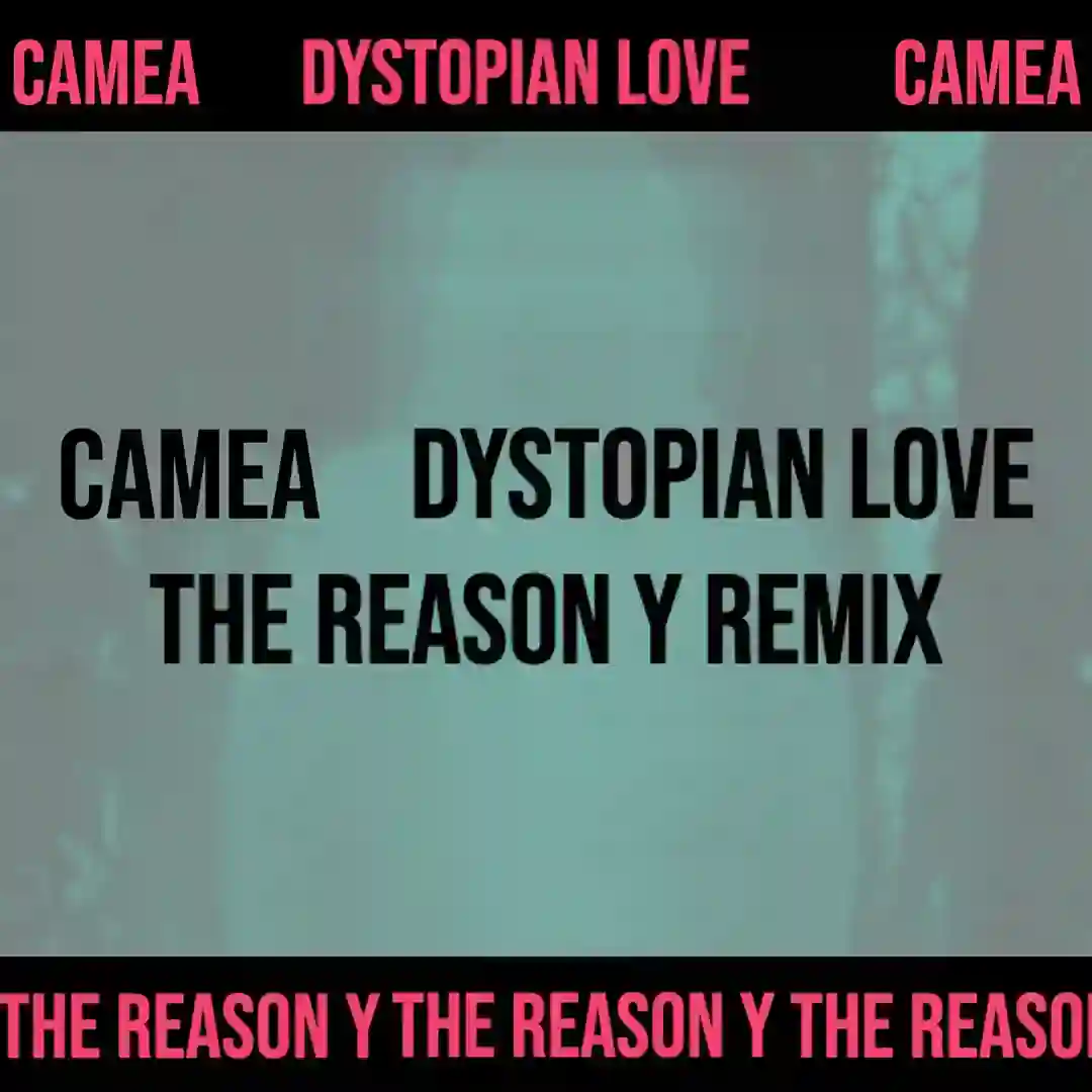 Dystopian Love (The Reason Y Remix) cover