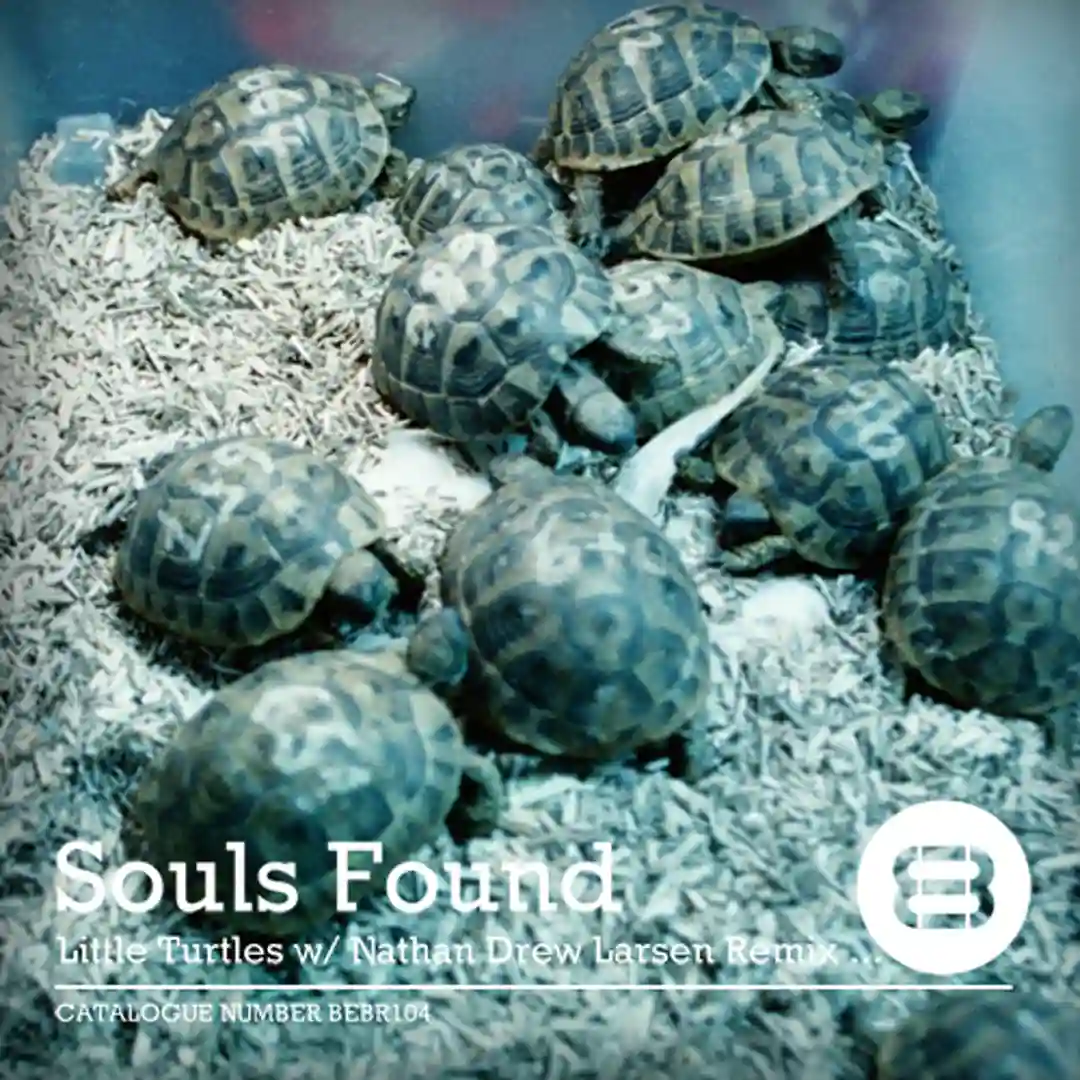 Little Turtles BEBR104 cover
