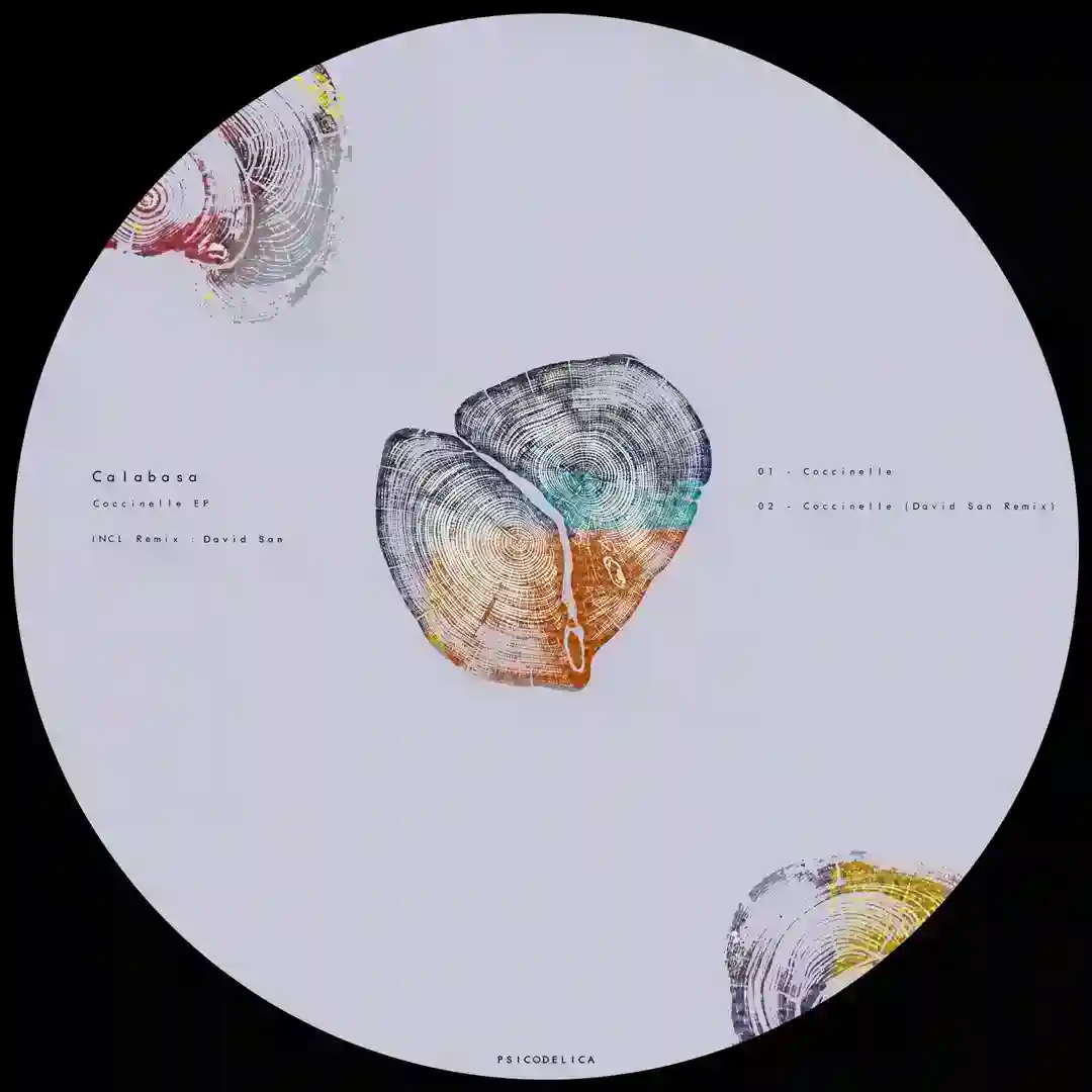 Coccinelle (David San Remix) cover