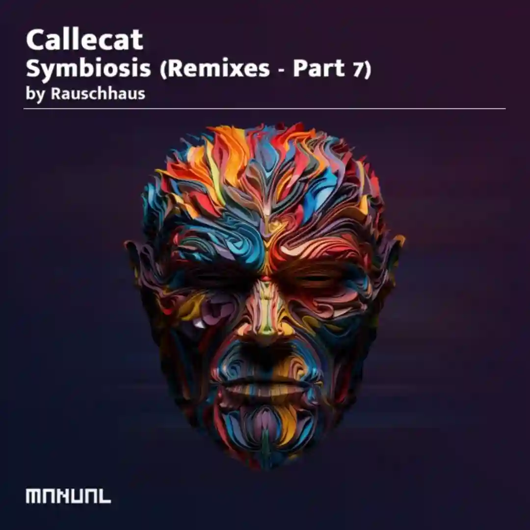 Mutual Horizons (Rauschhaus Remix) cover