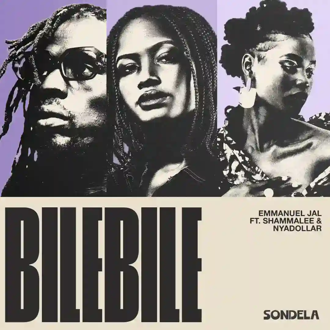 Bilebile (Original Mix) cover