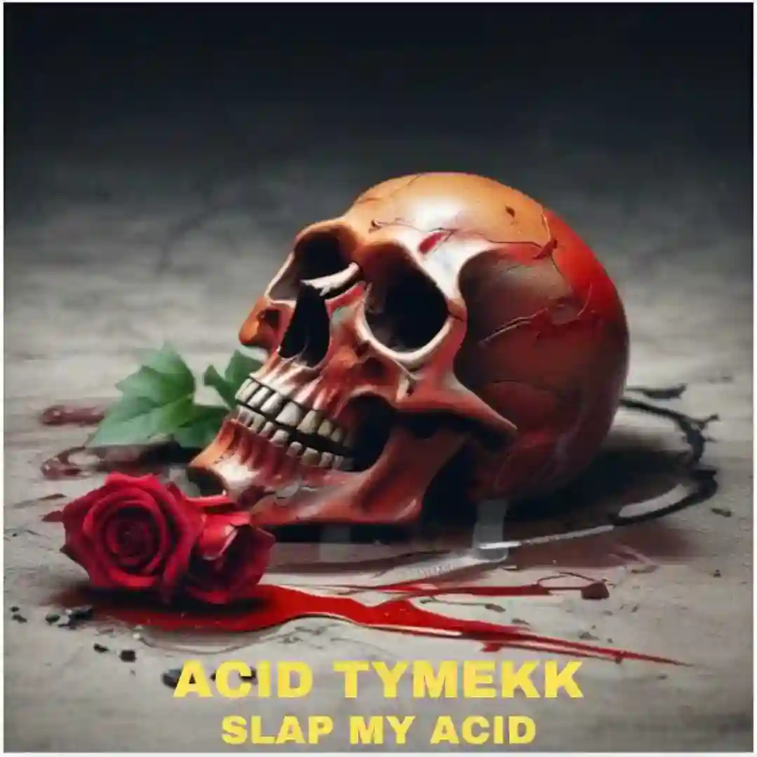Slap My Acid (Original Mix) cover