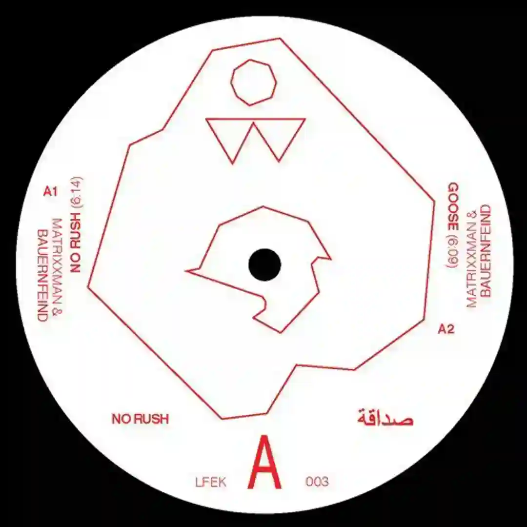 Goose (Original Mix) cover