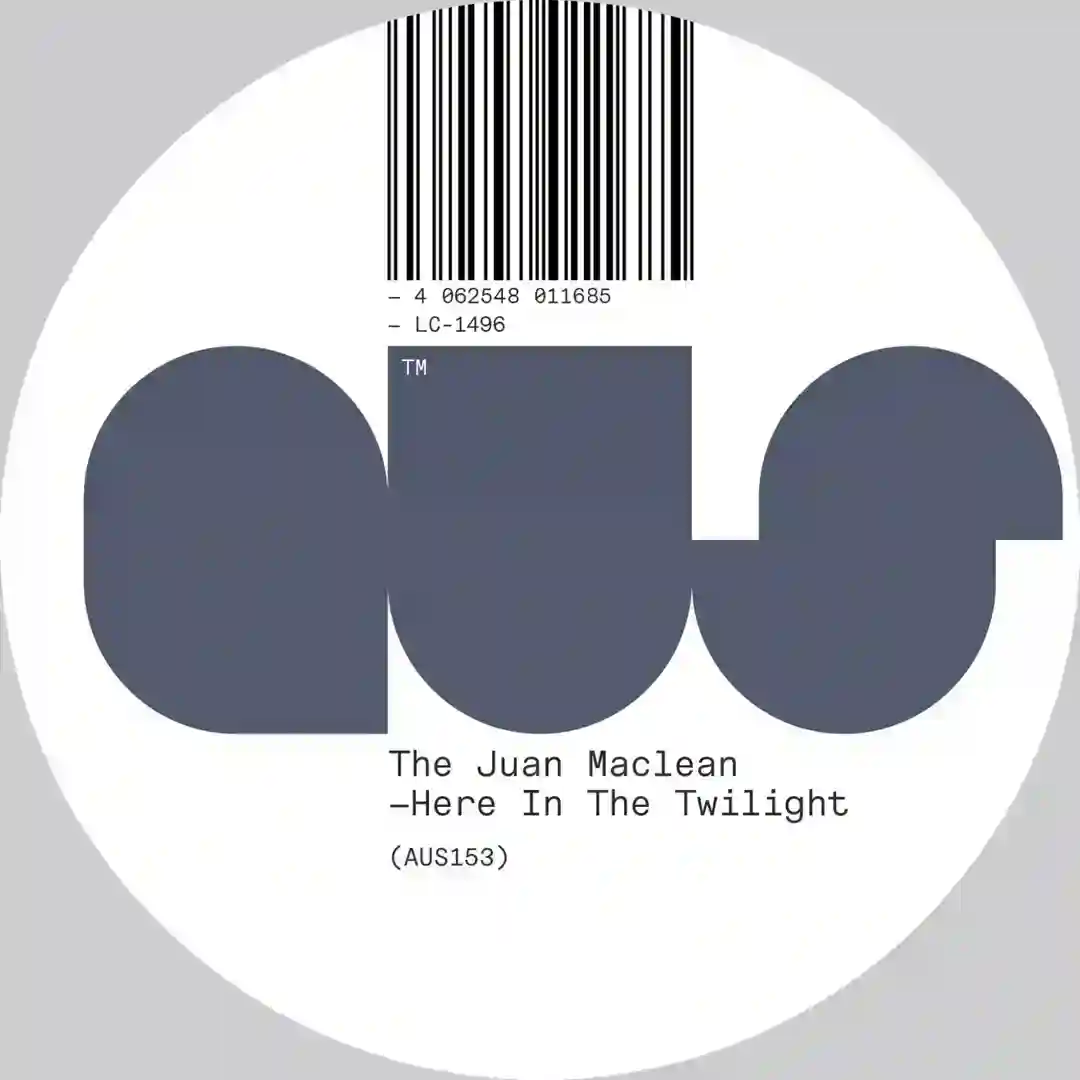 Here in the Twilight cover