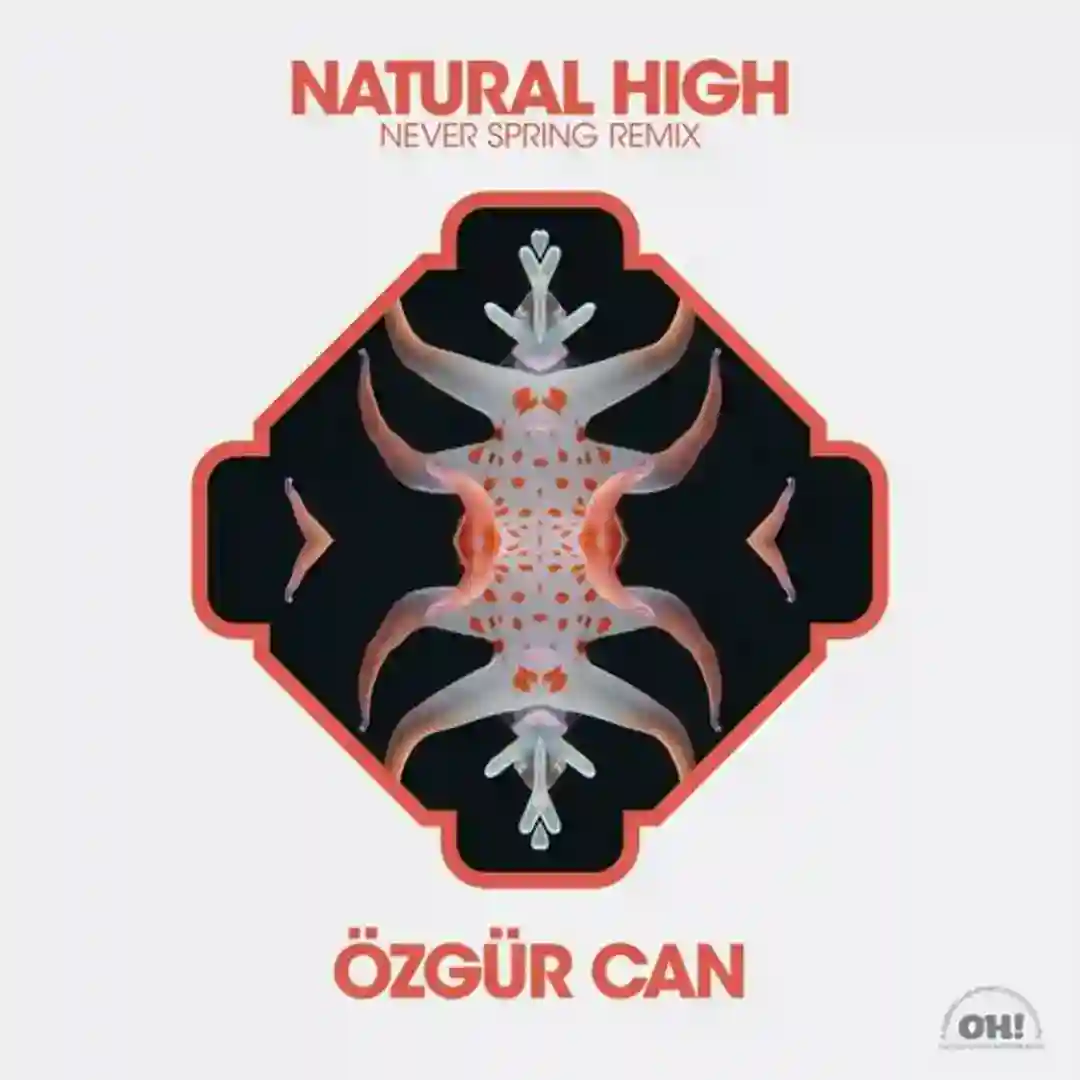 Natural High (Never Spring Dub) cover