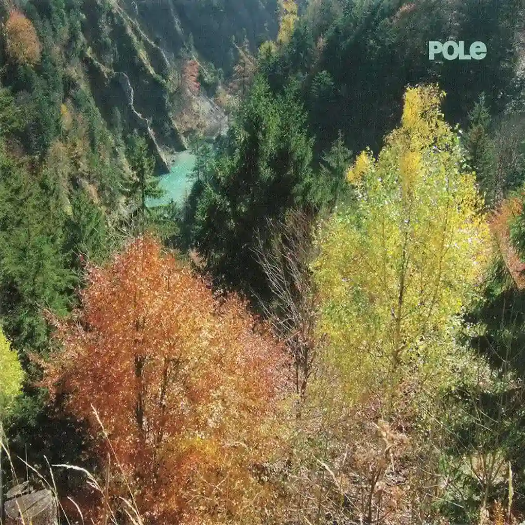 Käfer cover