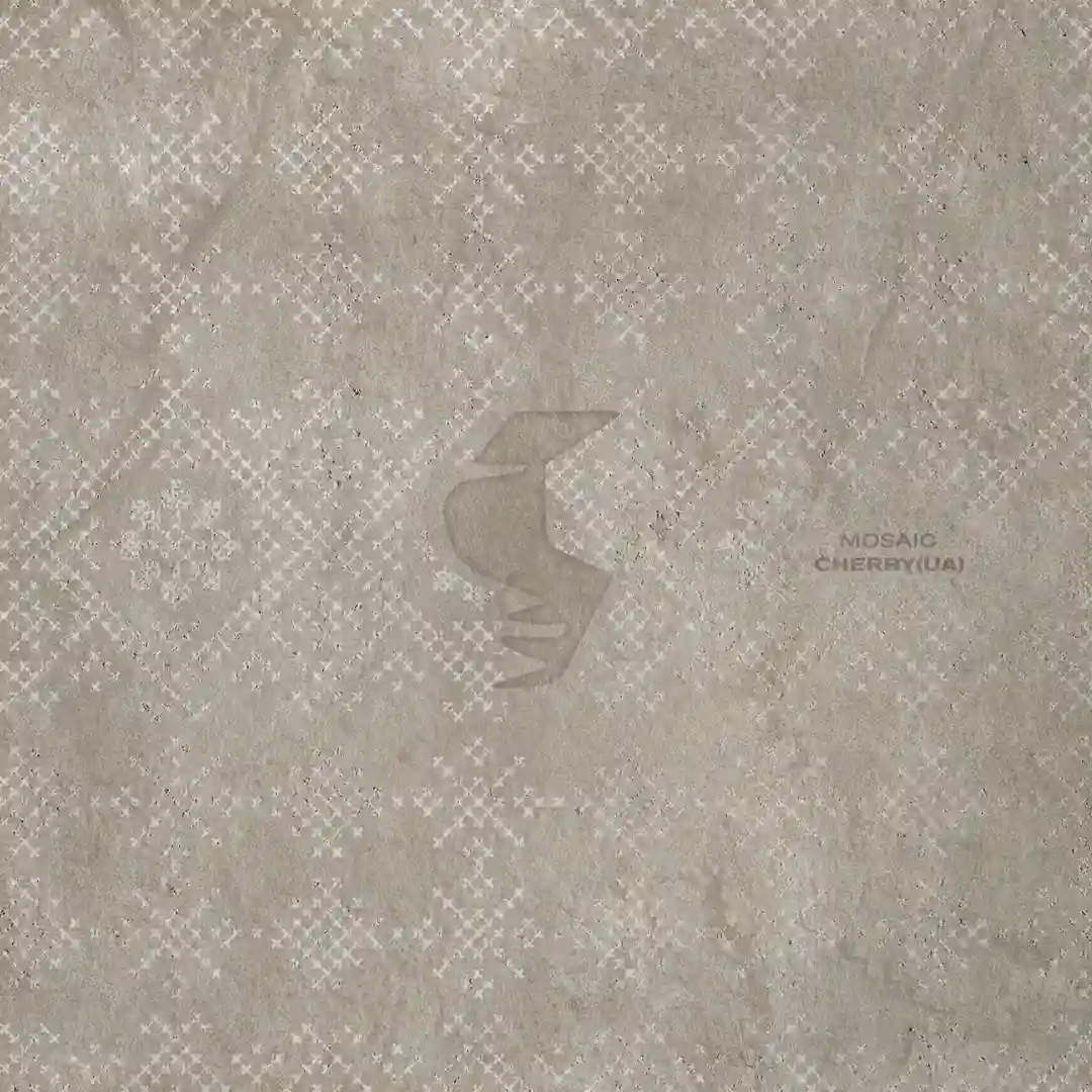 Silent (Extended Mix) cover