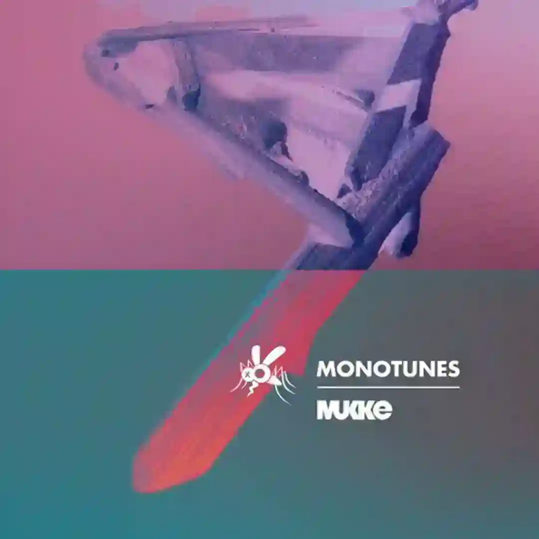 Fidibus (Original Mix) cover