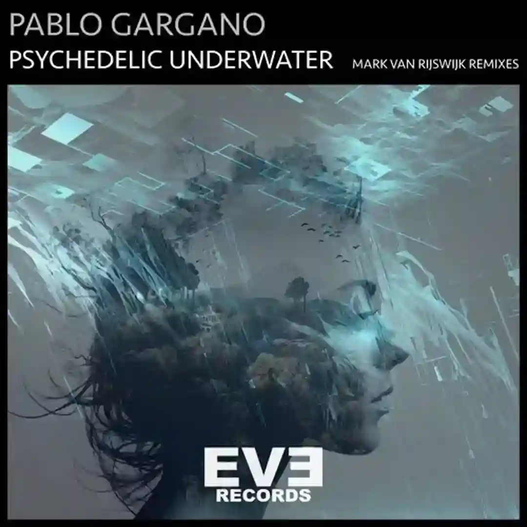 Psychedelic Underwater (Mark van Rijswijk Edit) cover