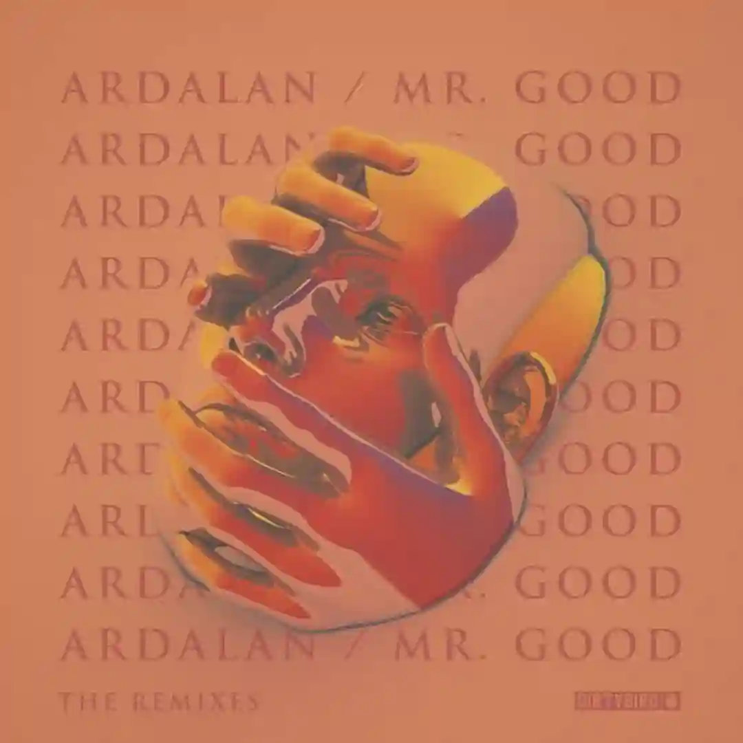 Mr. Good (German Brigante Remix) cover