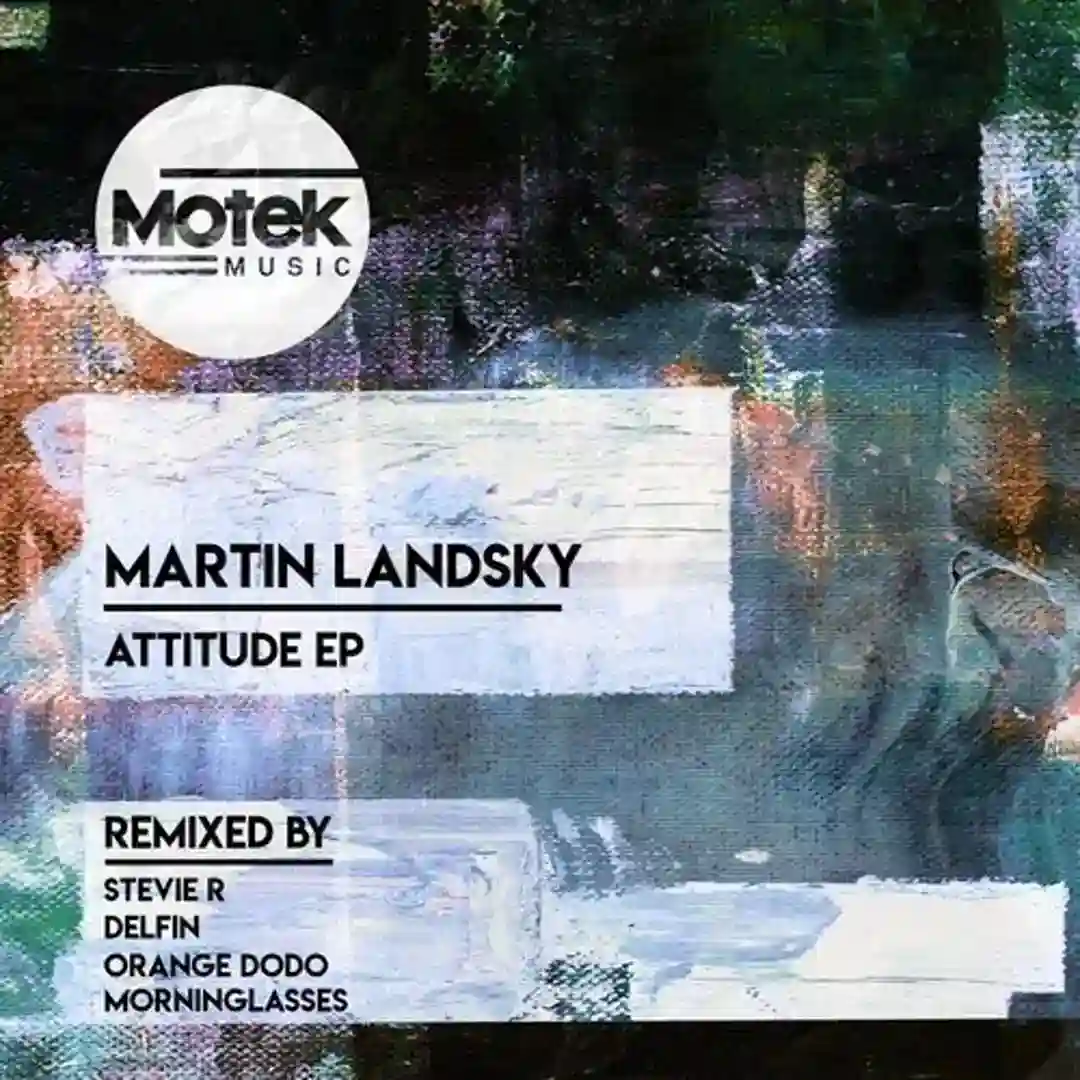 Leipzig House (Stevie R & Orange Dodo Remix) cover