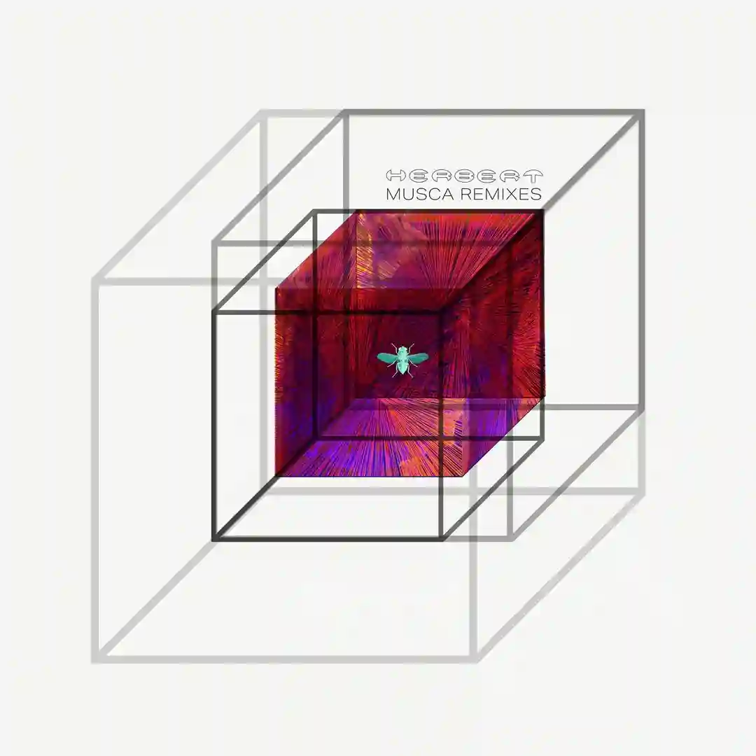 Musca - Remixes cover