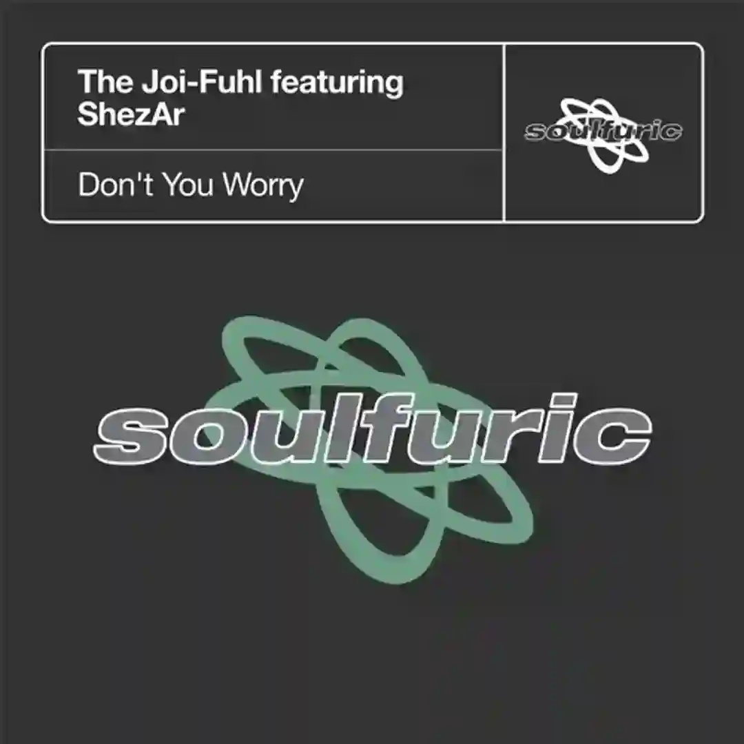 Don't You Worry feat. ShezAr (Club Mix) cover