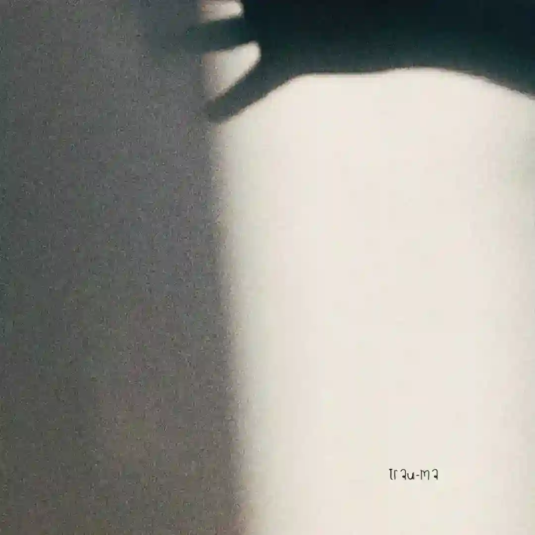 Mr Kurtz cover