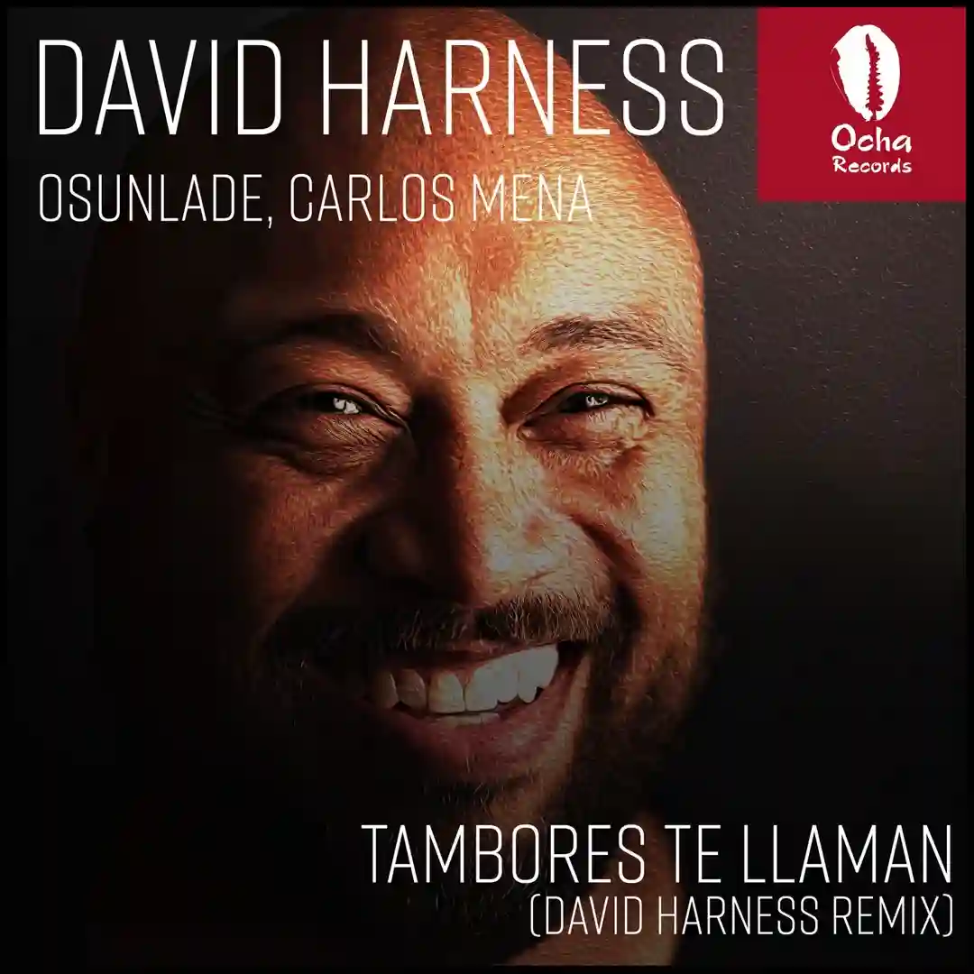 Tambores Te Llaman (David Harness Remix) cover