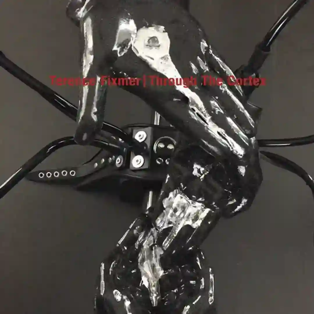 Accelerate cover