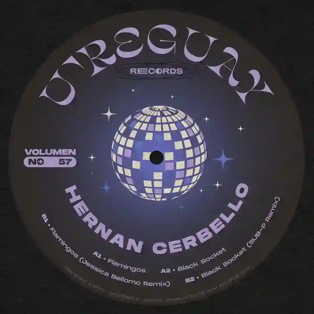 Flamingos (Jessica Bellomo Remix) cover