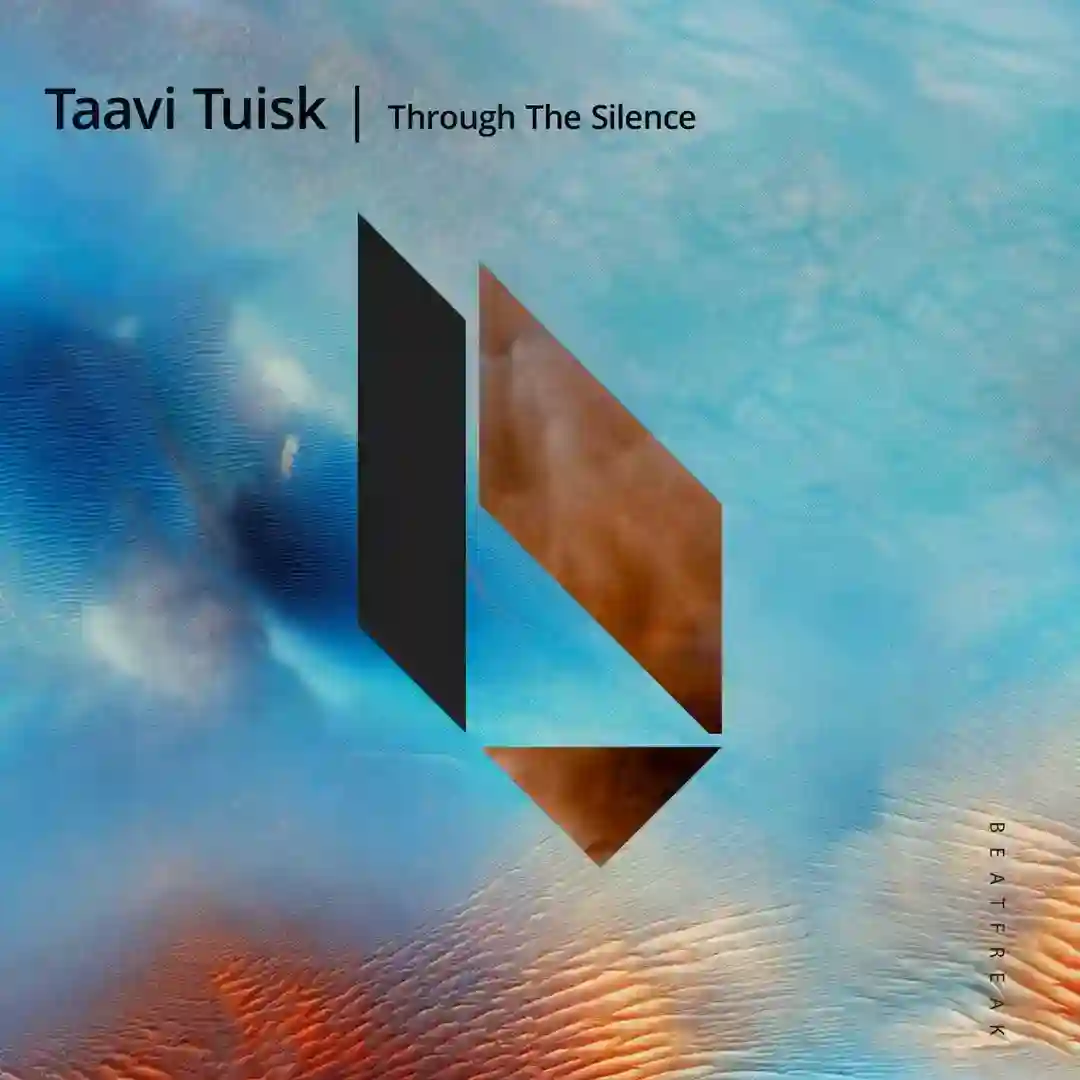 Through the Silence cover