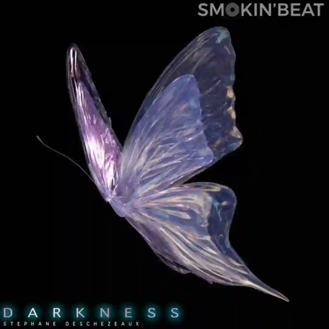 Darkness (Original Mix) cover