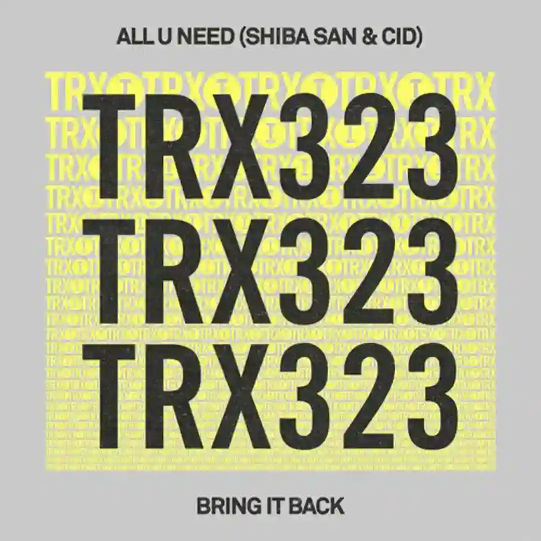 Bring It Back (Extended Mix) cover