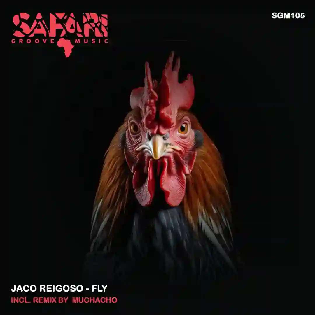 Fly (Original Mix) cover