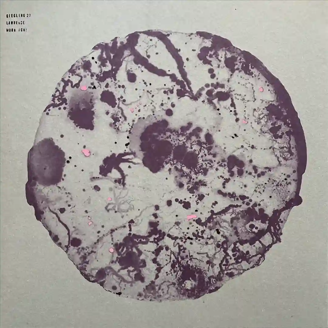 A1 Moonlight VINYL ONLY  cover