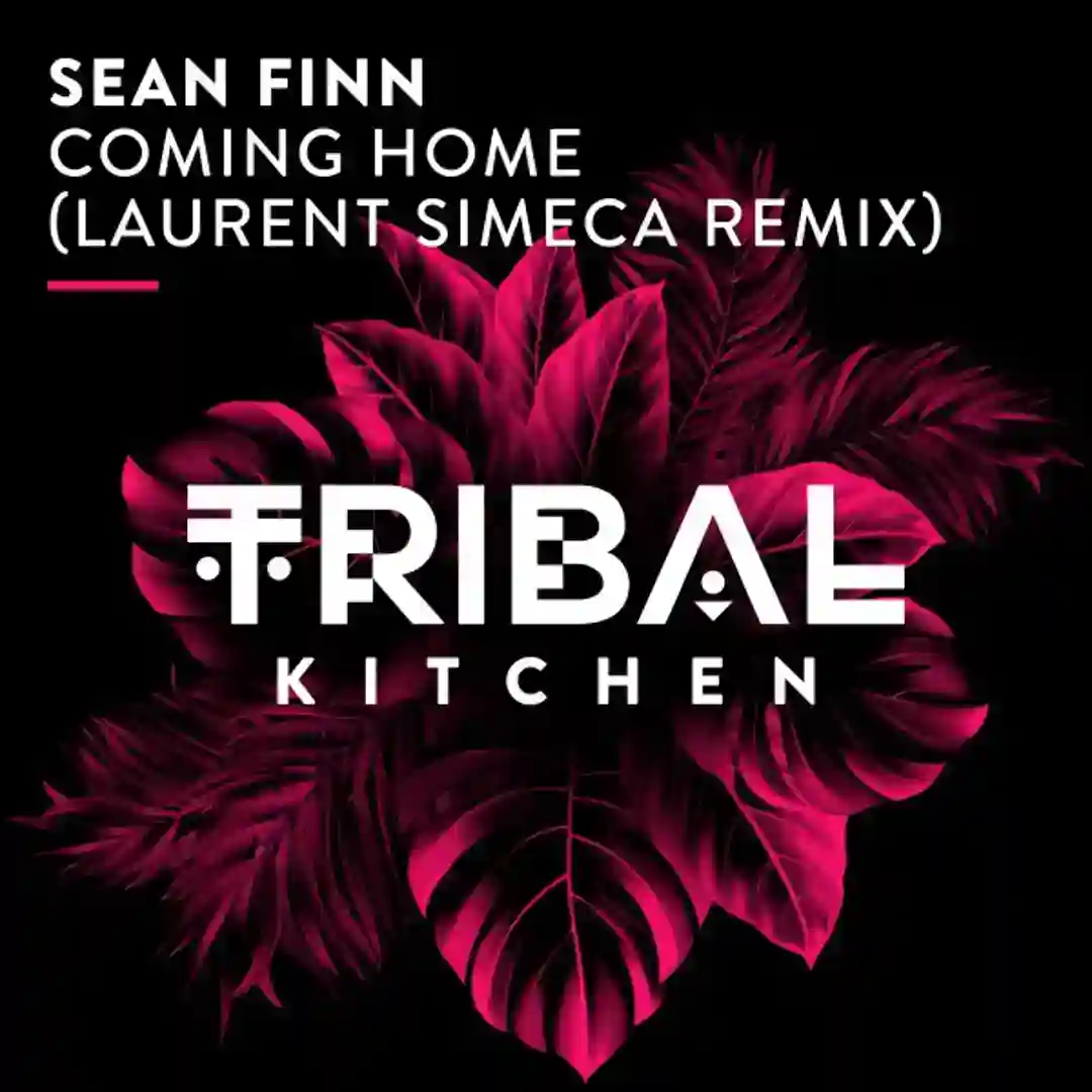 Coming Home (Laurent Simeca Remix) cover