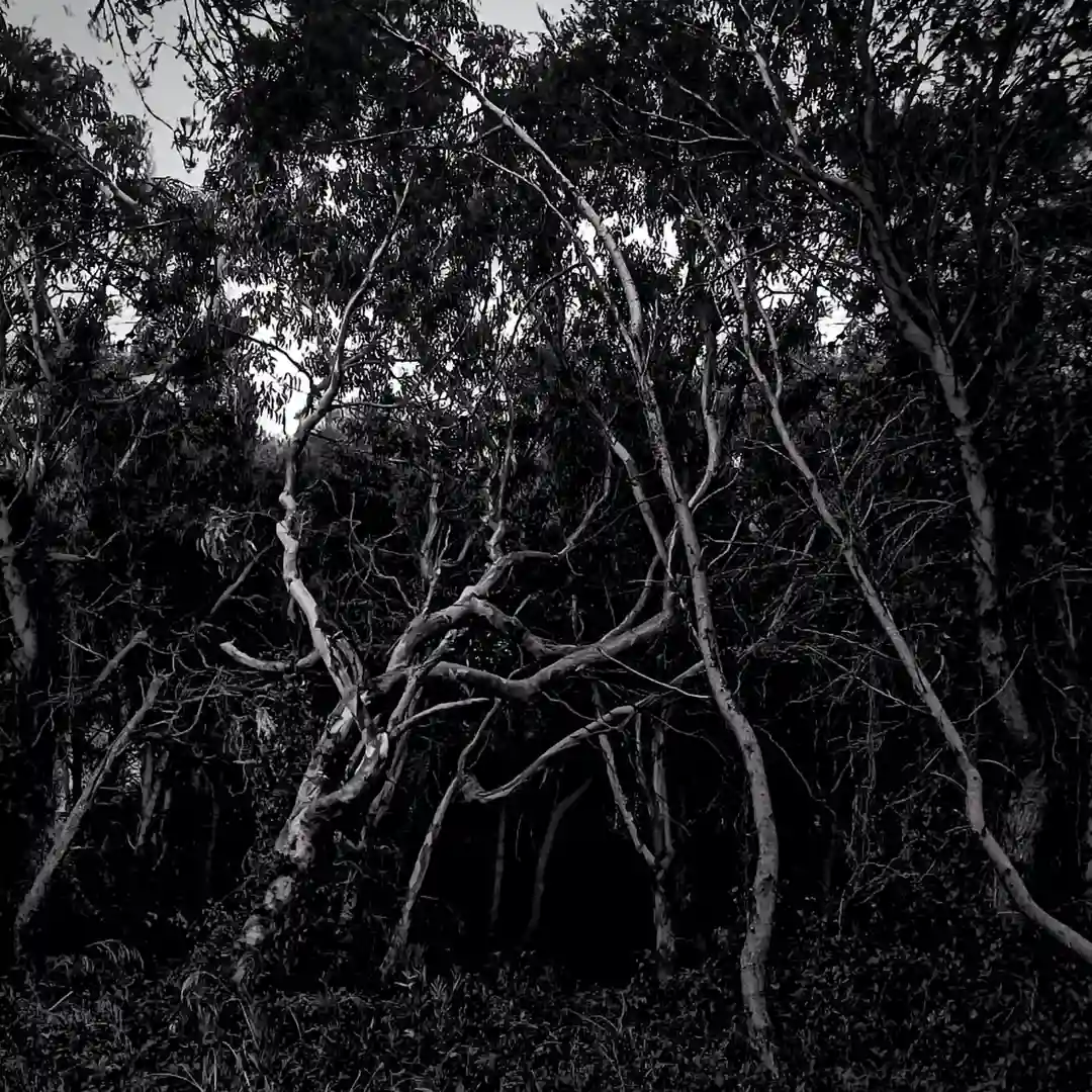 State of Ebb (Original Mix) cover