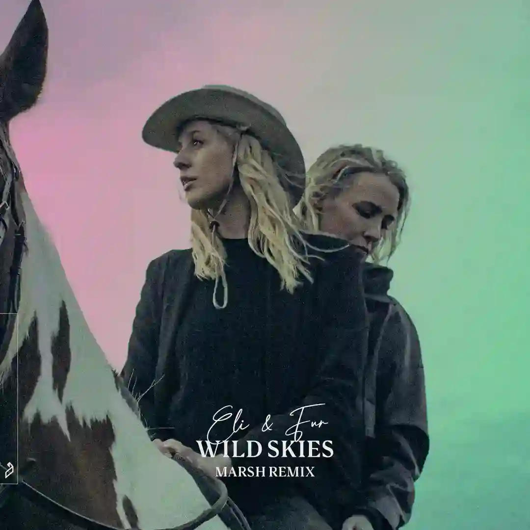 Wild Skies cover