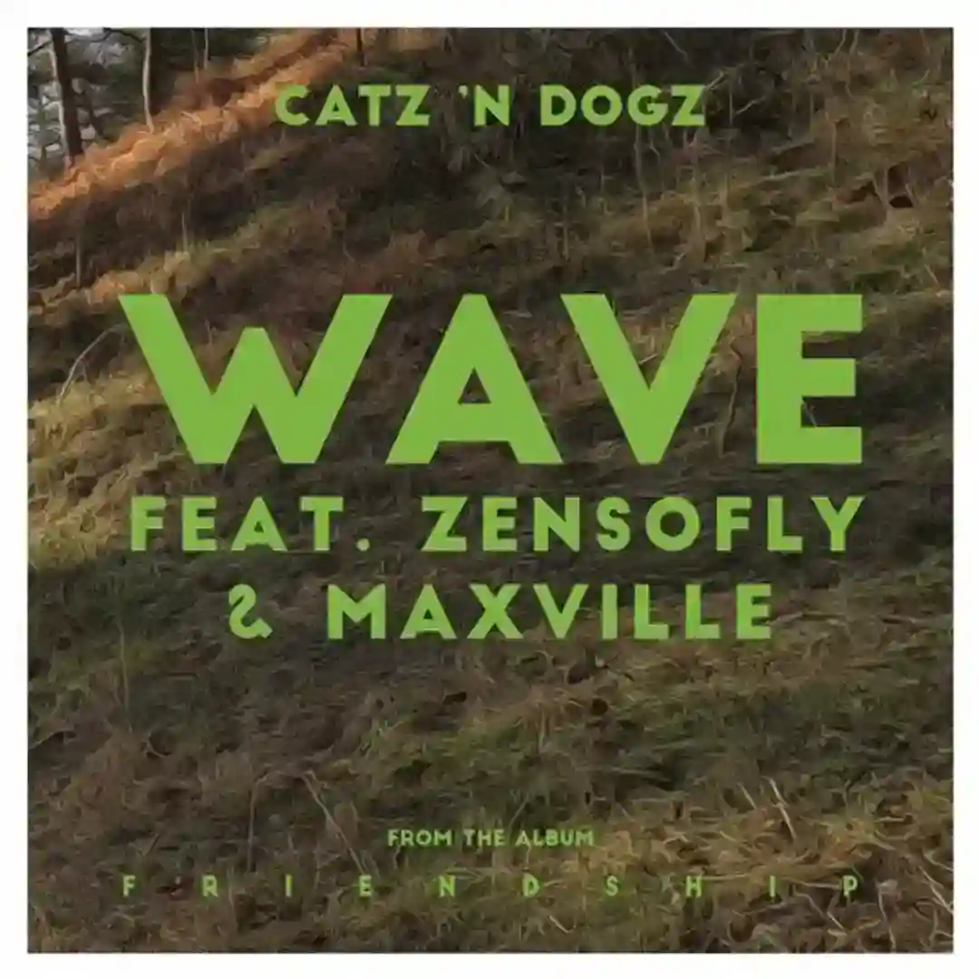 Wave feat. ZENSOFLY & Maxville (Justin Martin) cover