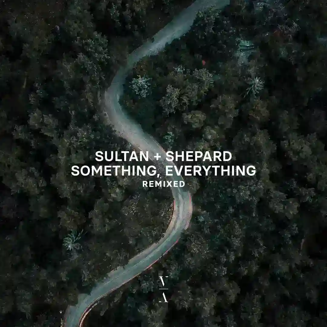 Something, Everything Remixed cover