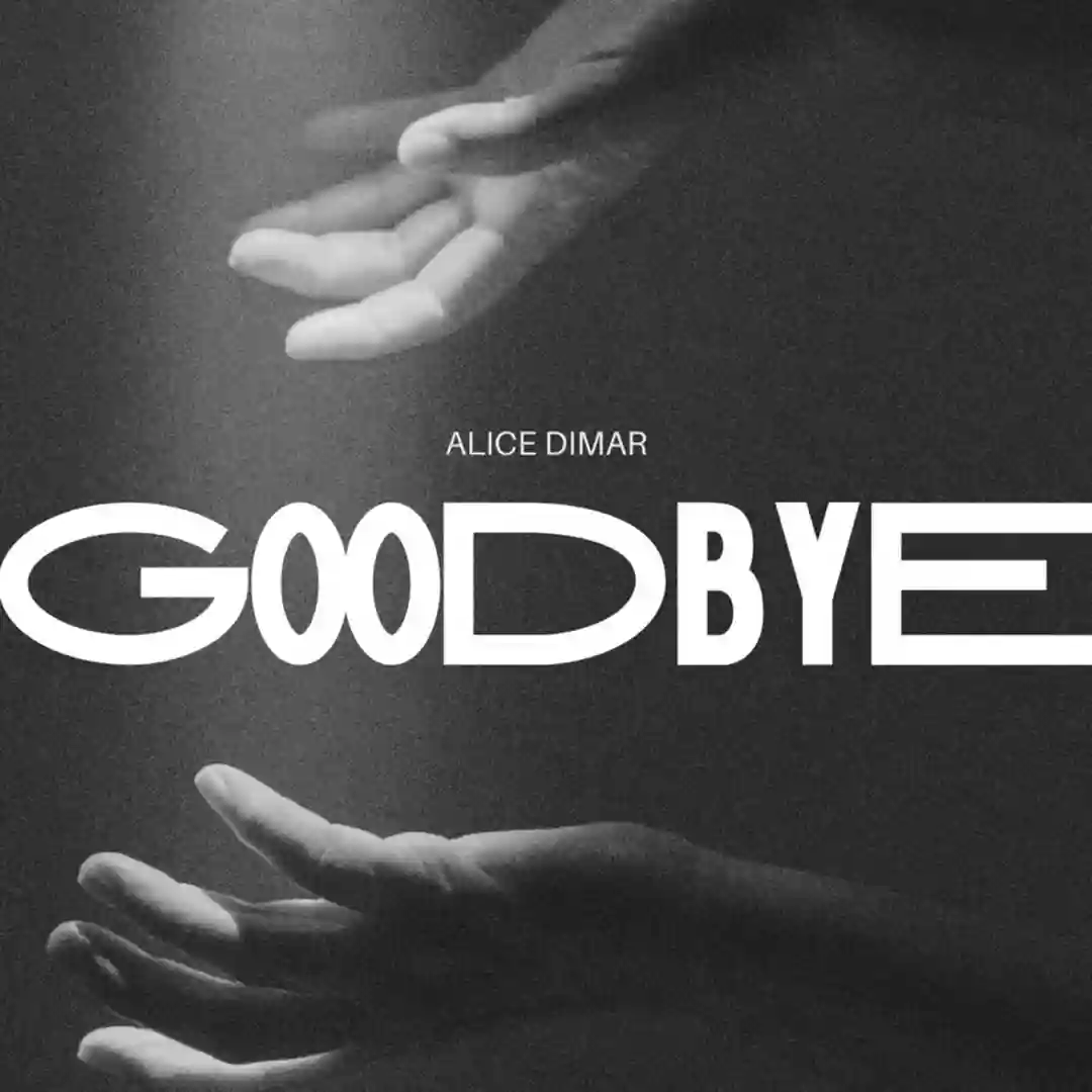 Goodbye (Extended Mix) cover