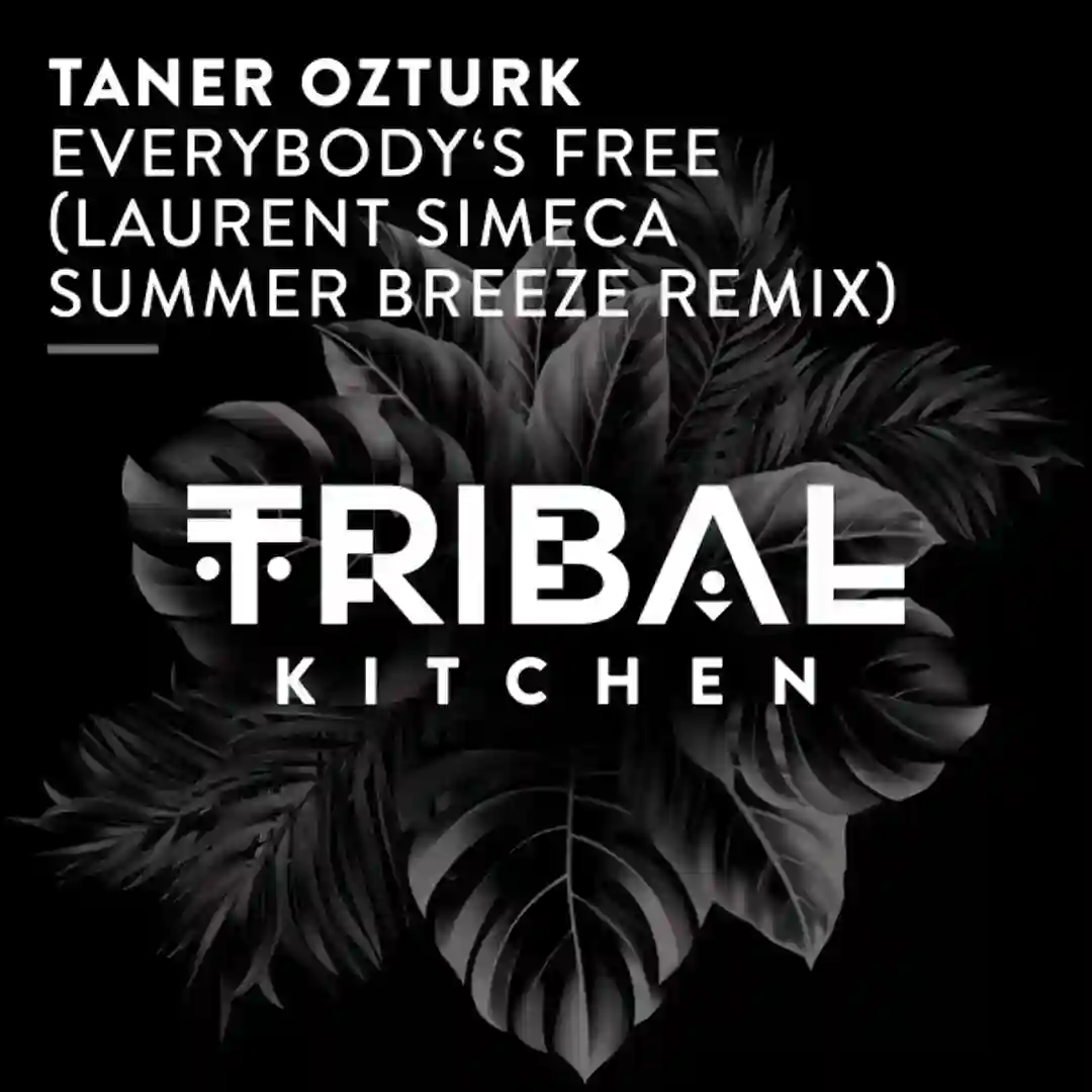 Everybody's Free (Laurent Simeca Summer Breeze Extended Remix) cover