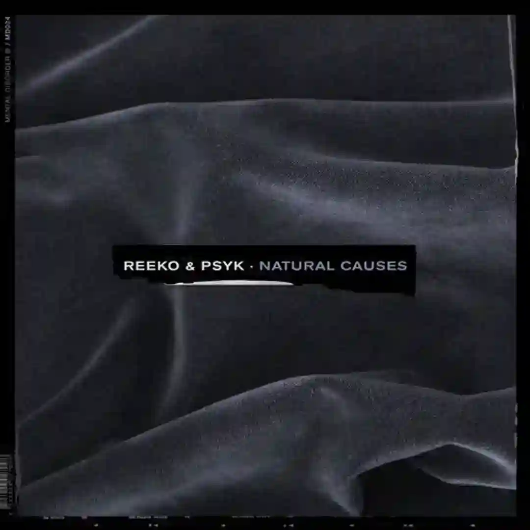 Natural Causes cover
