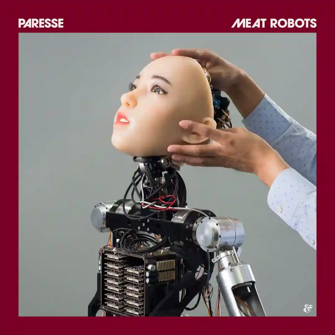 Meat Robots - Edit cover