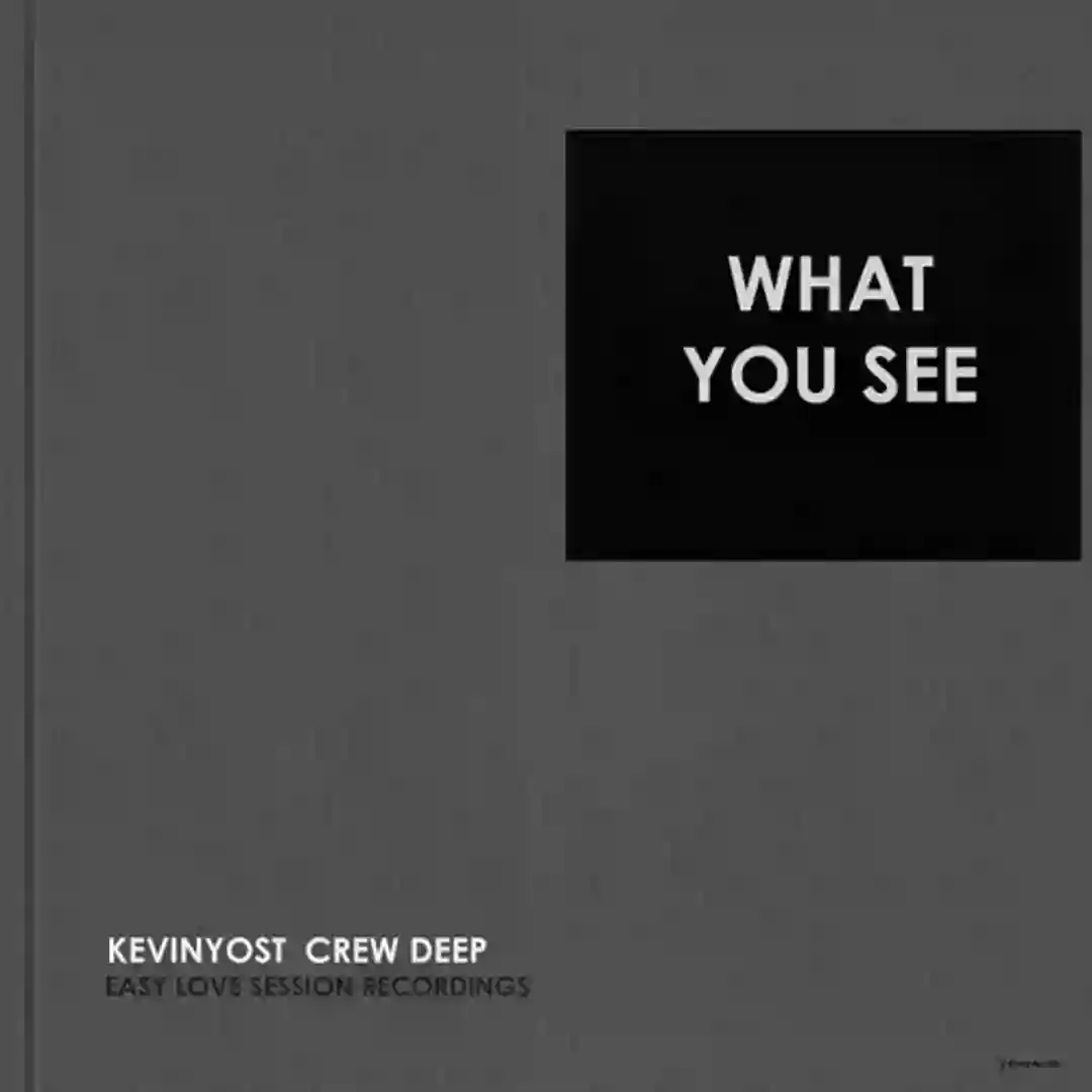 What You See (Radio Version) cover