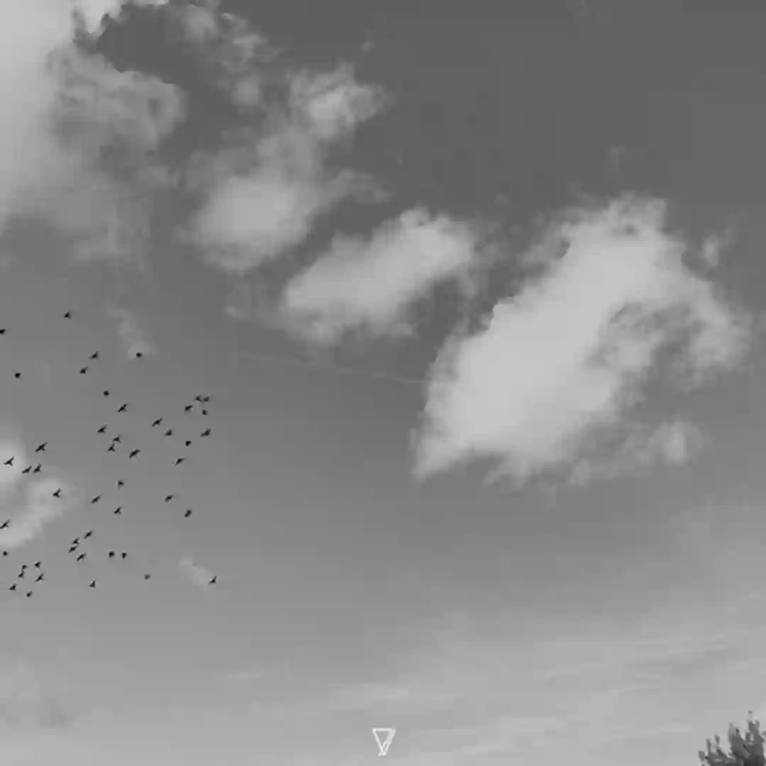Hypnoe (Original Mix) cover