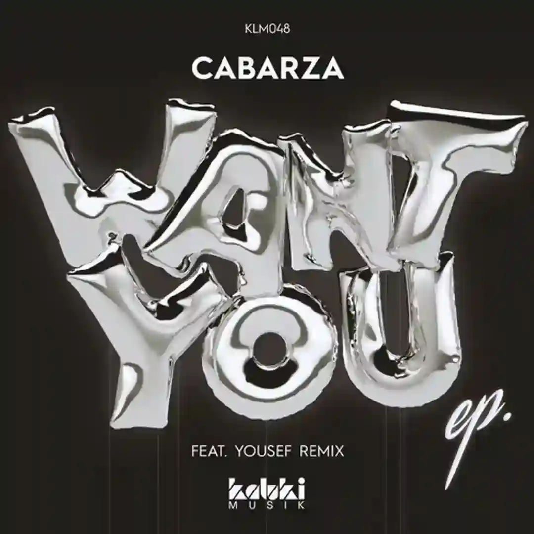 Want You (Original Mix) cover