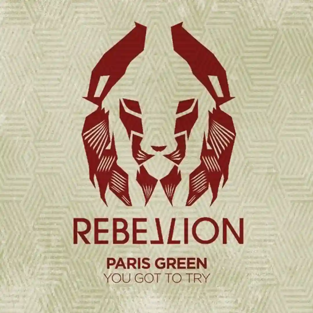 You Got To Try cover