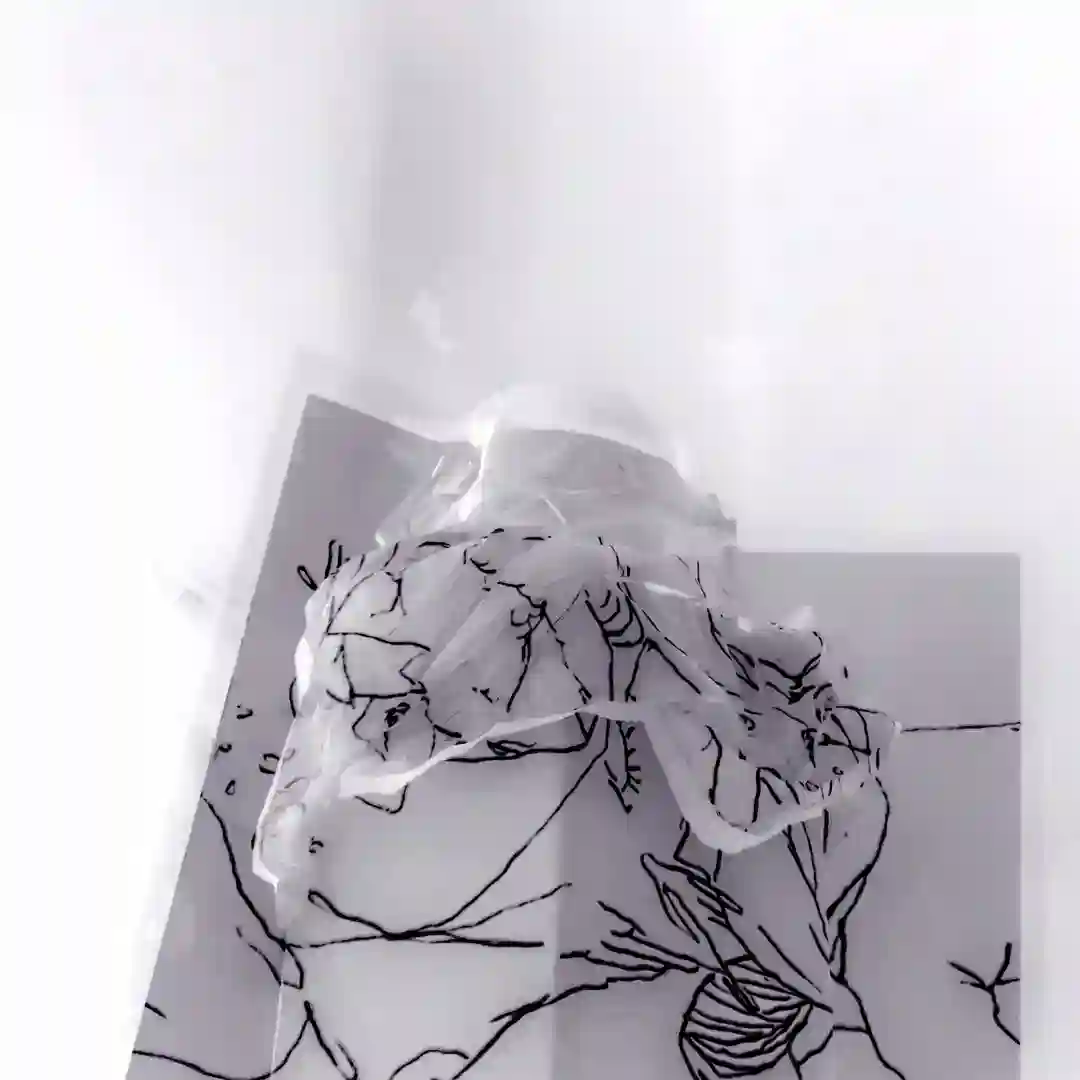 The Touch cover