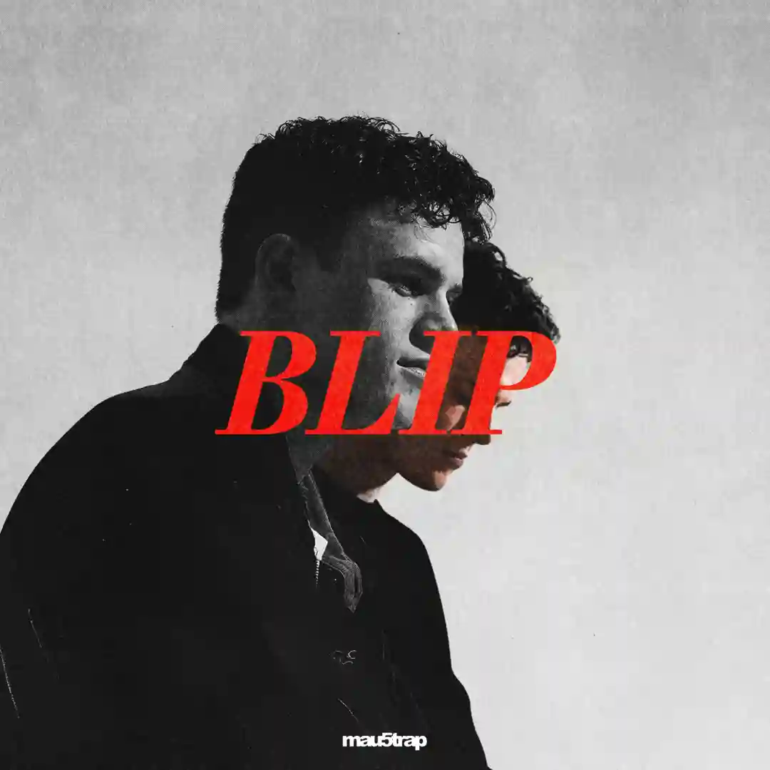 BLIP cover