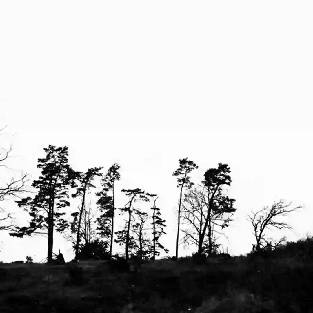 Sunset (Dolph Flachno Remix) cover