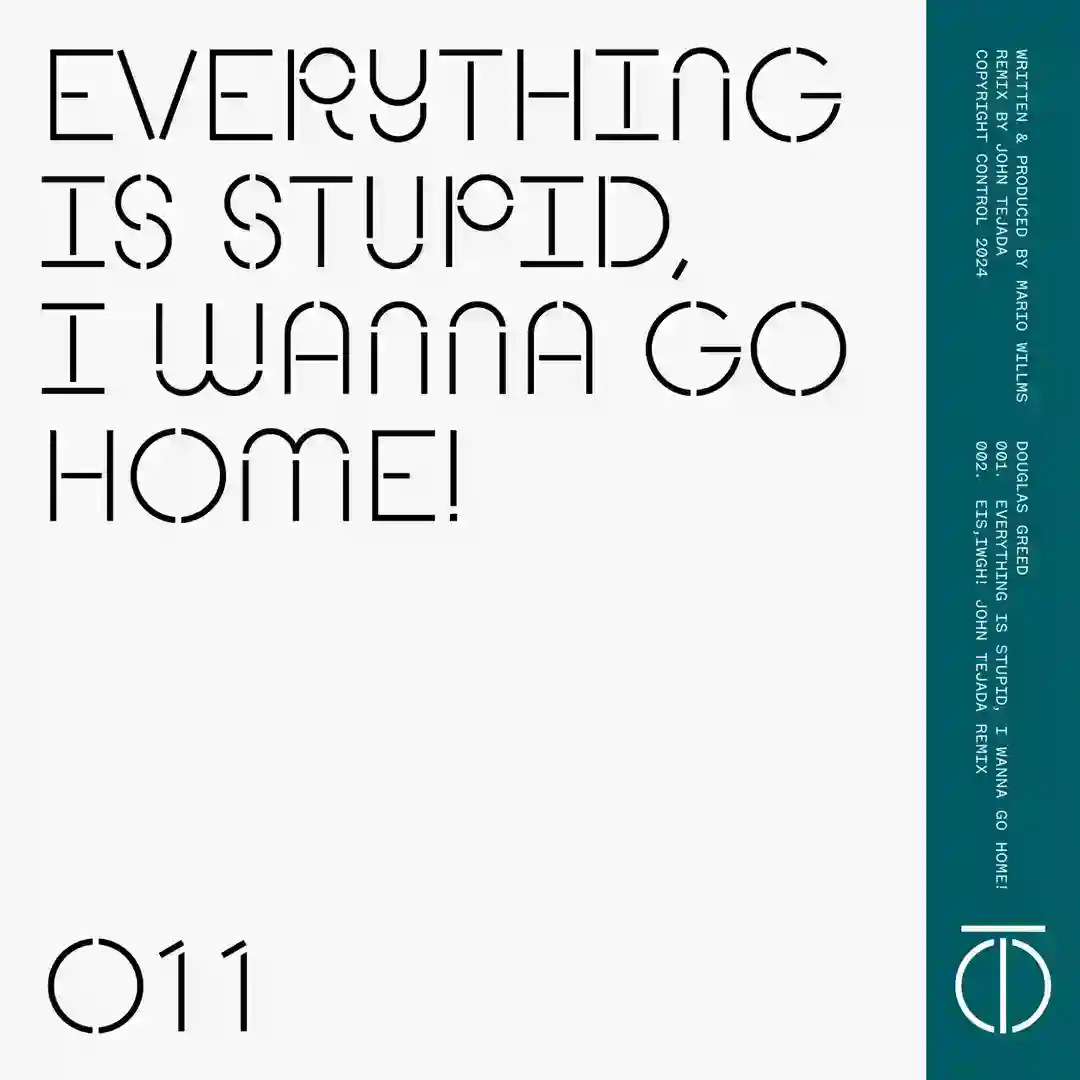Everything Is Stupid, I Wanna Go Home! (Original Mix) cover