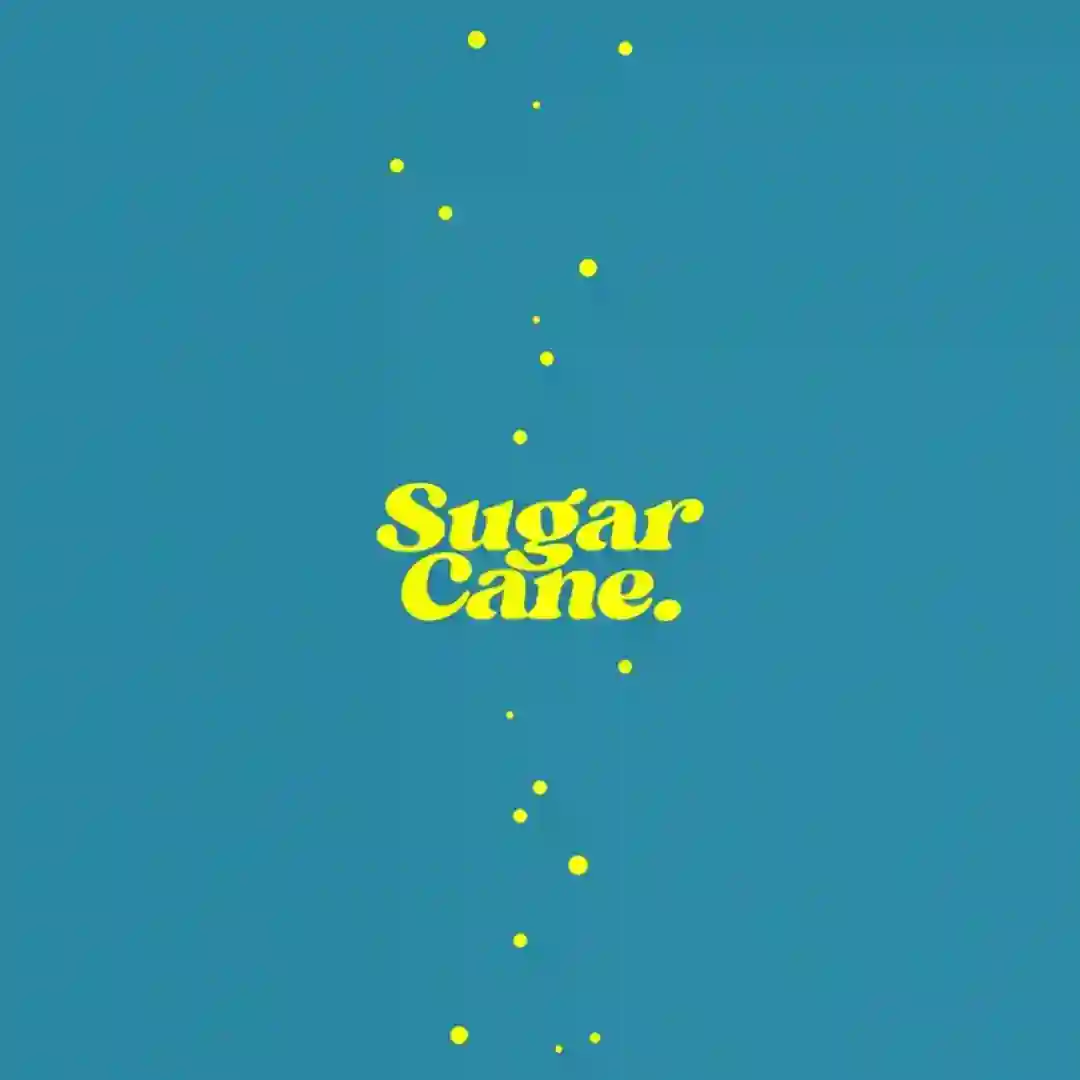Sugarcane (Extended Mix) cover