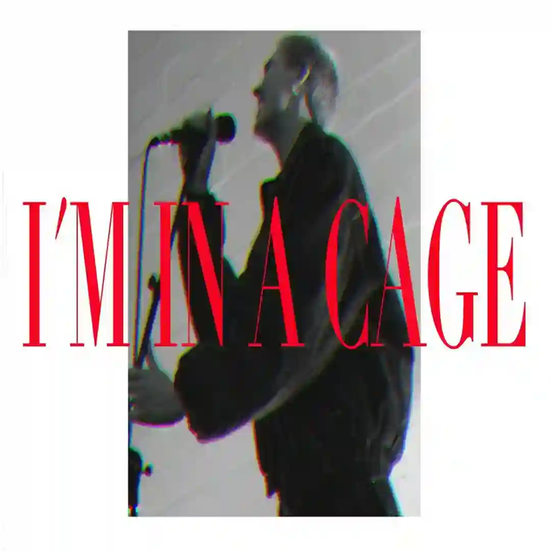 I'm in a Cage cover
