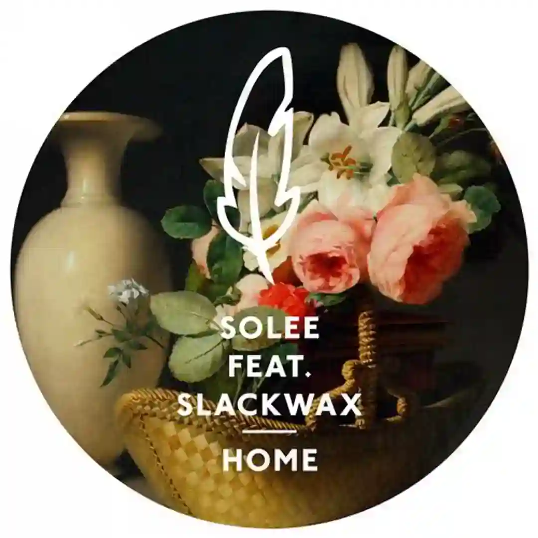 Home Feat. Slackwax (Nils Hoffmann Remix) cover