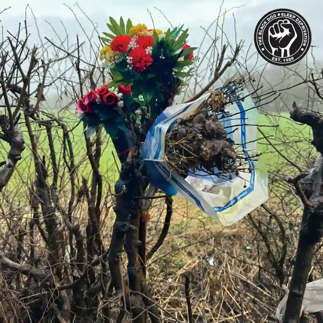Sleep Deprivation 16: Null cover