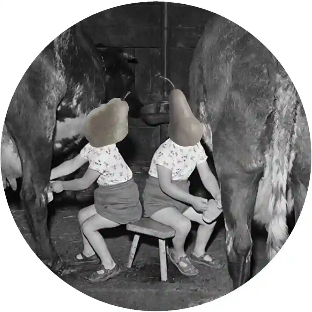 Beat the System cover